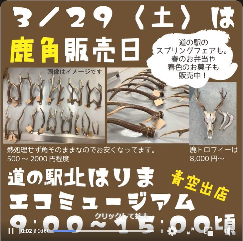 ～3/30　スプリングフェア：道の駅北はりまエコミュージアム